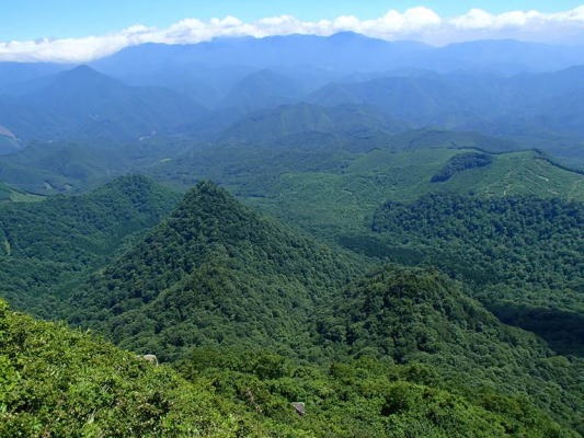 南会津の森林（七ケ岳山頂より）