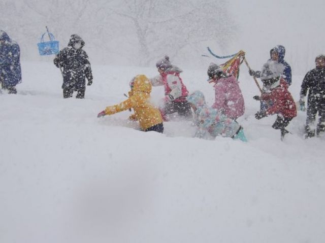 やぶこぎ大会