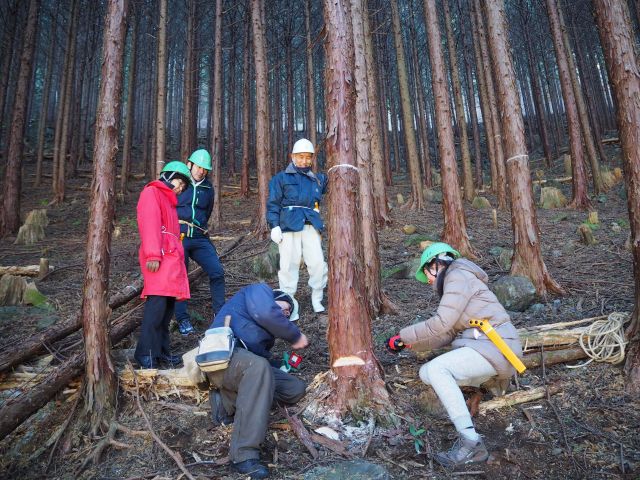 初心者へ向けた森づくり体験イベントの様子