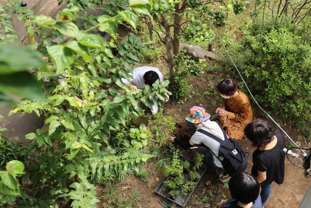 創業支援ゼミに参加し、プレオープンイベントを開催した際の植樹祭の様子。みんなで共有できる庭を育むことも大切にしており、北側アプローチの植栽、東側のハーブ花壇、南側の食べる・香る植物エリアを手入れ中。西側の外壁には、新たにグリーンカーテンを計画しています。