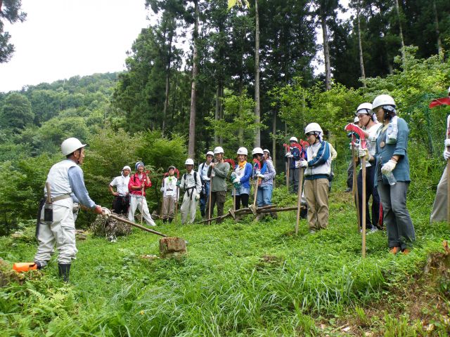 森づくり体験プログラム「森林の楽校(もりのがっこう)」の様子