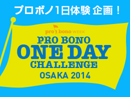 PRO BONO ONEDAY CHALLENGE